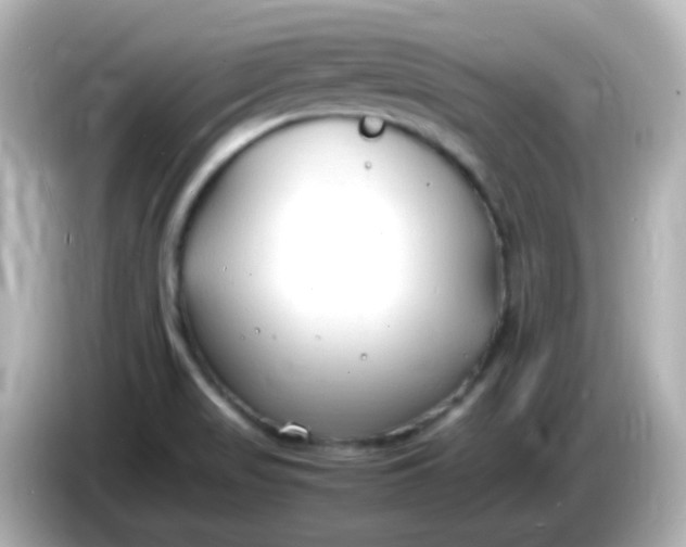 X0000086061517200704091218