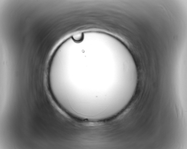 X0000086061518200704091218