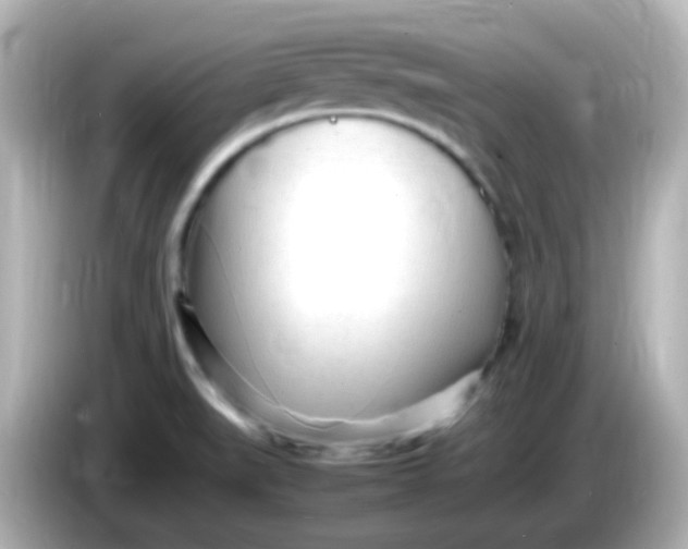 X0000086061519200704091218