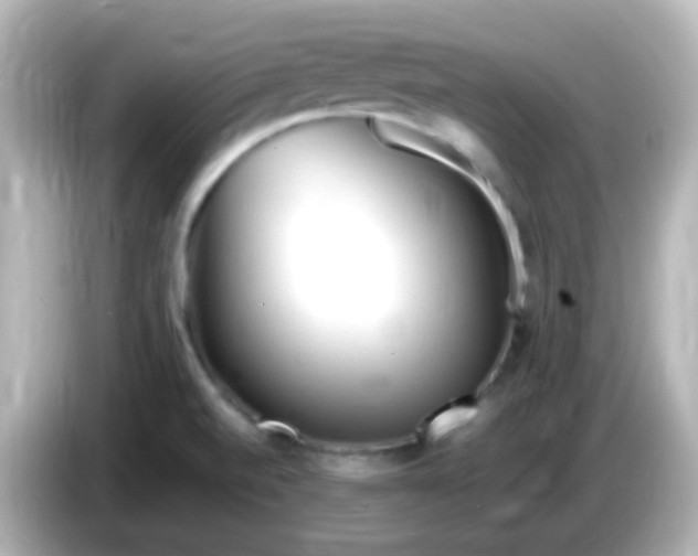 X0000086061520200704091218