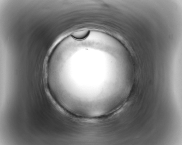 X0000086061522200704091218