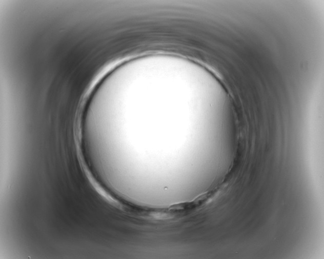 X0000086061523200704091218