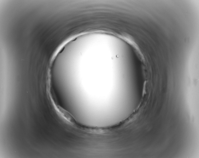 X0000086061524200704091218