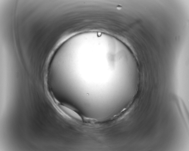 X0000086061525200704091218