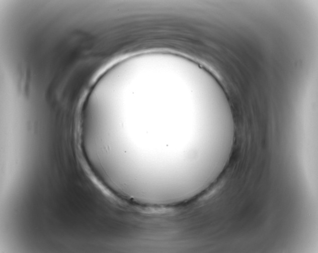 X0000086061526200704091218