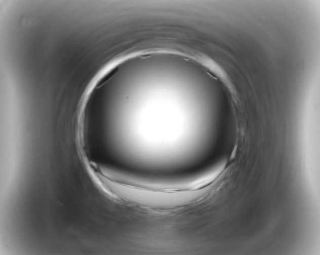 X0000086061528200704091218