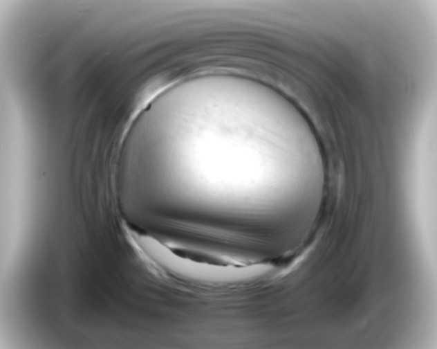 X0000086061529200704091218