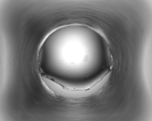 X0000086061532200704091218