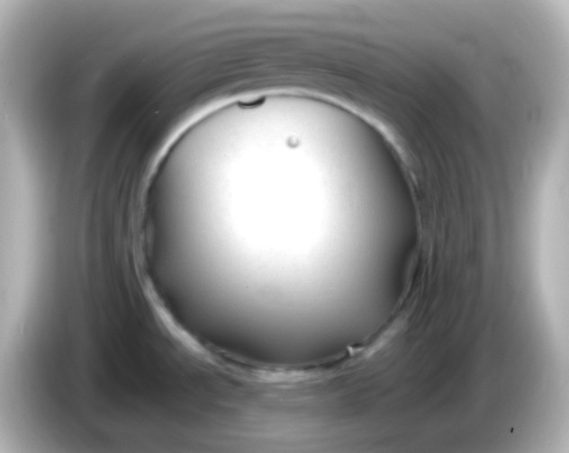 X0000086061534200704091218