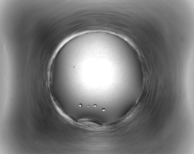 X0000086061535200704091218