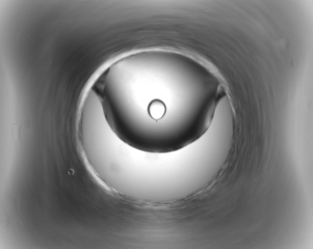 X0000086061536200704091218