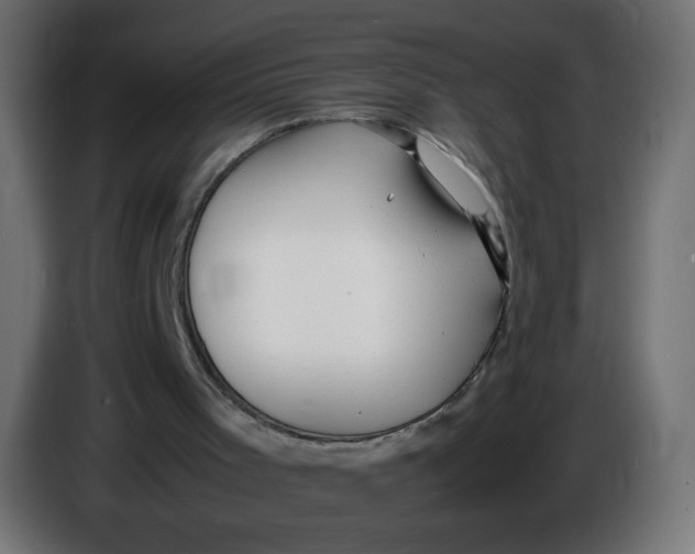 X0000086060001200704132028