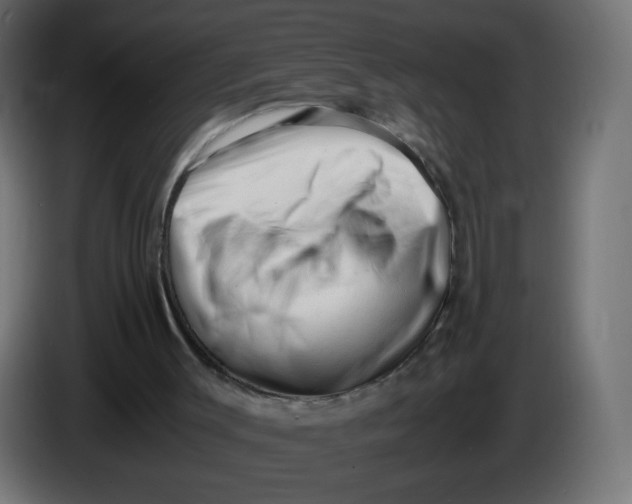 X0000086060003200704132028