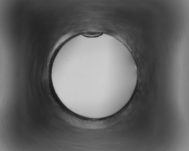 X0000086060008200704132028