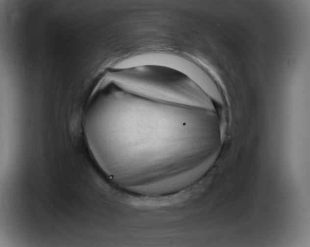 X0000086060009200704132028