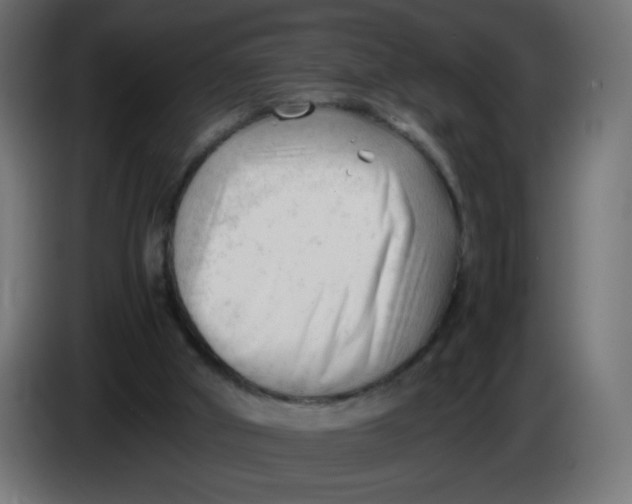 X0000086060010200704132028