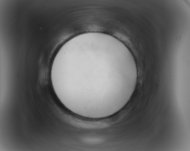 X0000086060012200704132028