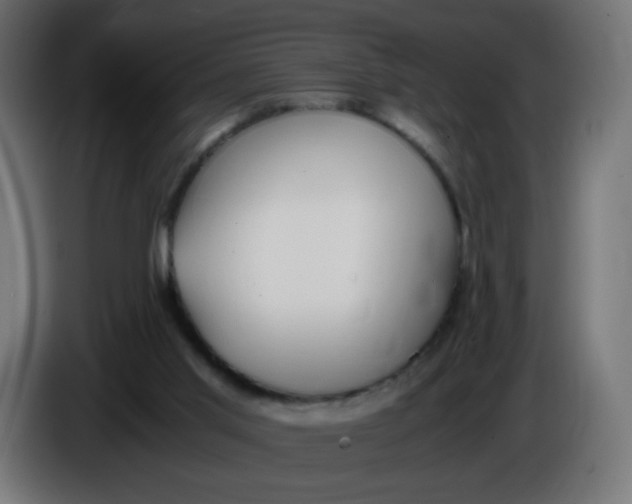 X0000086060013200704132028