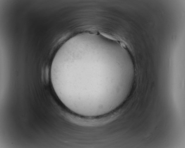 X0000086060014200704132028