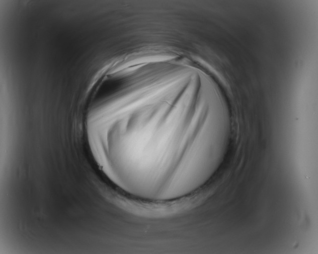 X0000086060015200704132028