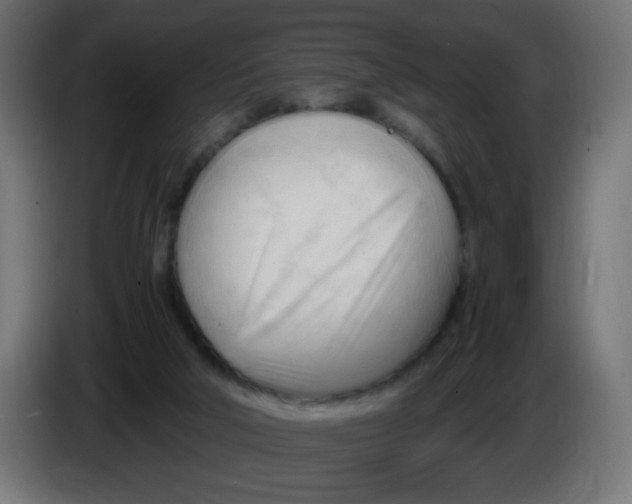 X0000086060018200704132028