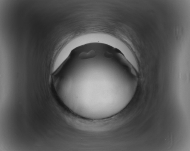 X0000086060019200704132028