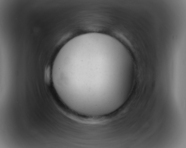 X0000086060020200704132028