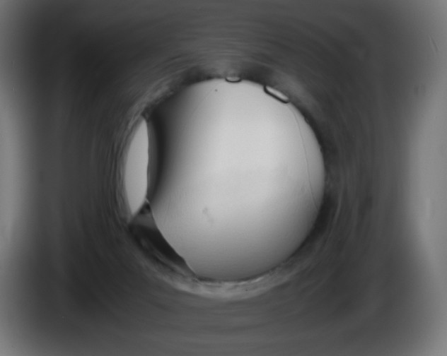 X0000086060023200704132028