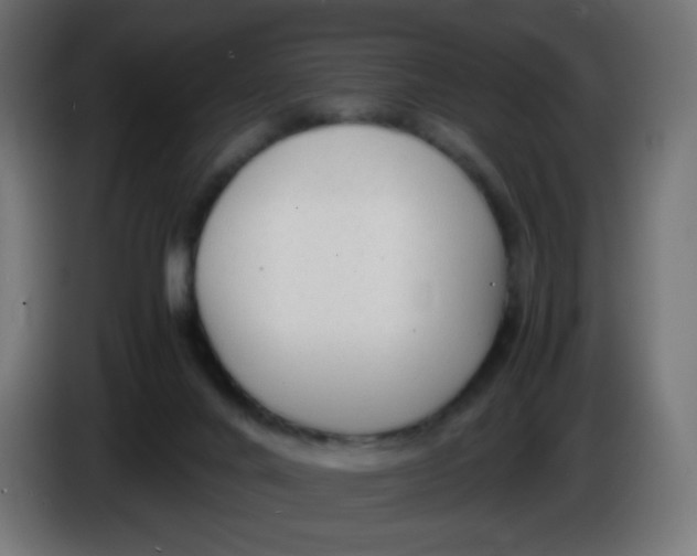 X0000086060024200704132028