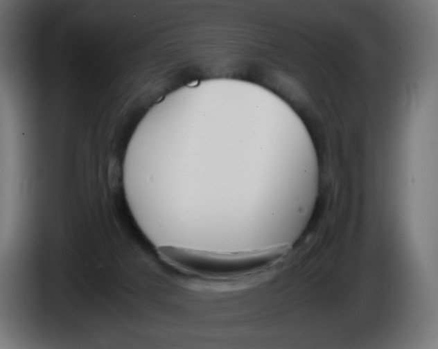 X0000086060025200704132028