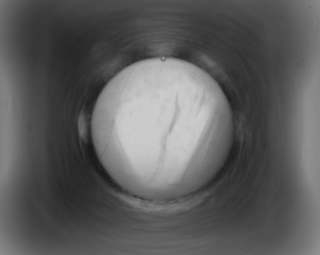 X0000086060026200704132028