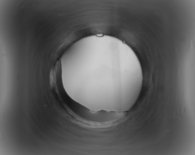 X0000086060027200704132028