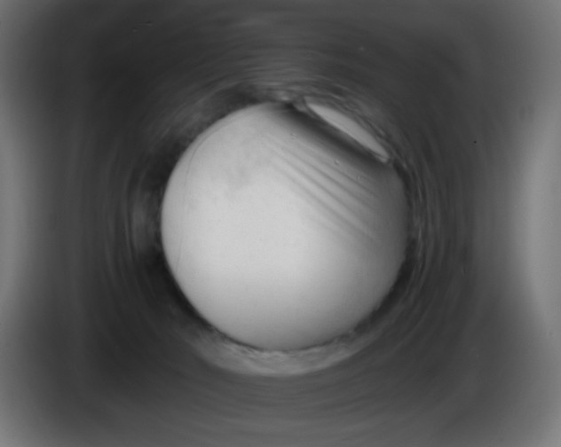 X0000086060030200704132028