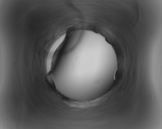 X0000086060033200704132028