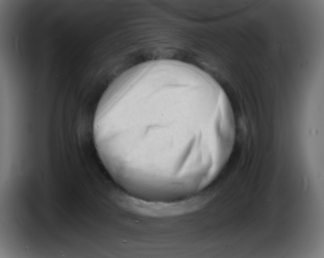 X0000086060034200704132028