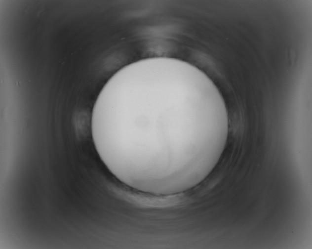 X0000086060036200704132028