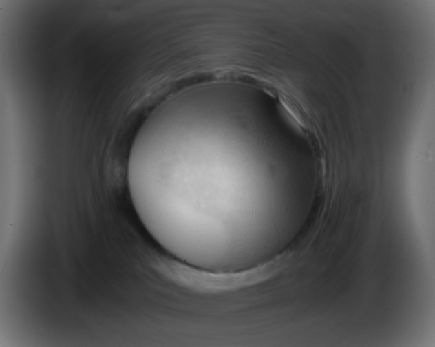 X0000086060039200704132028