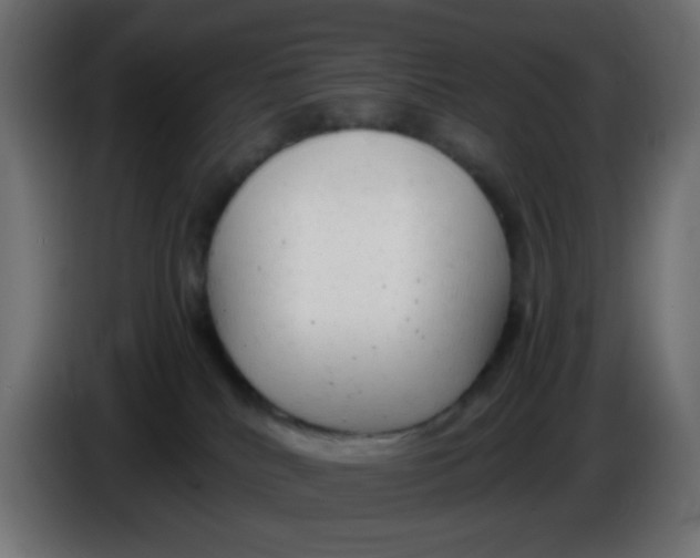 X0000086060040200704132028