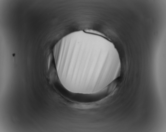 X0000086060041200704132028