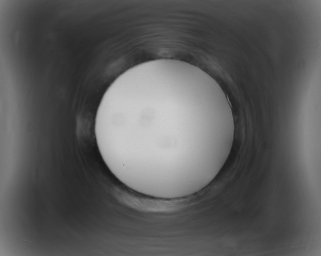 X0000086060044200704132028