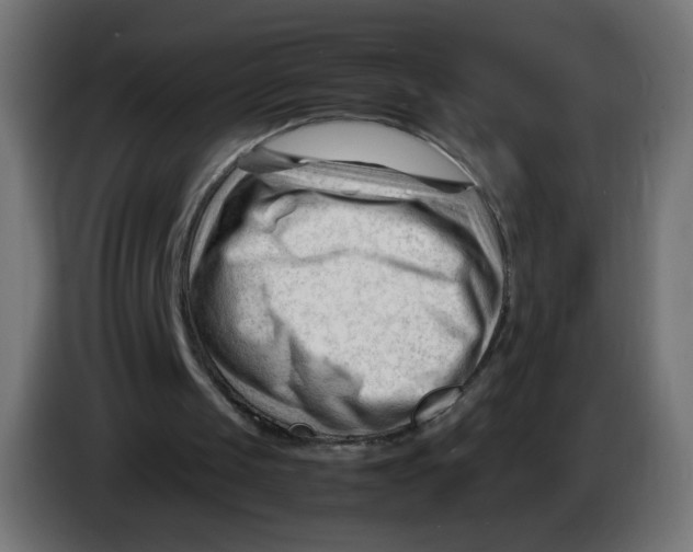 X0000086060049200704132027