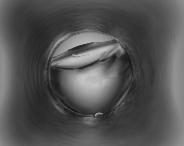 X0000086060050200704132027