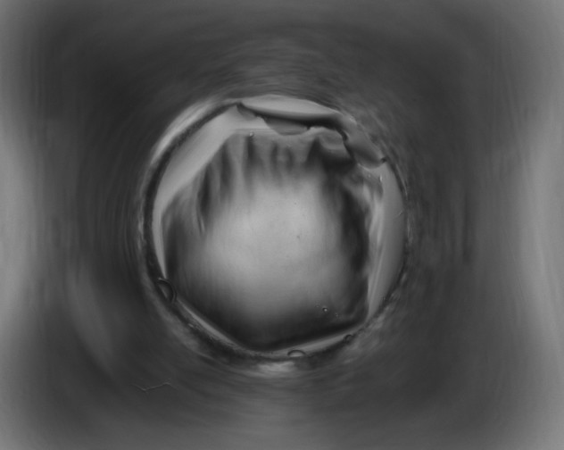 X0000086060054200704132027