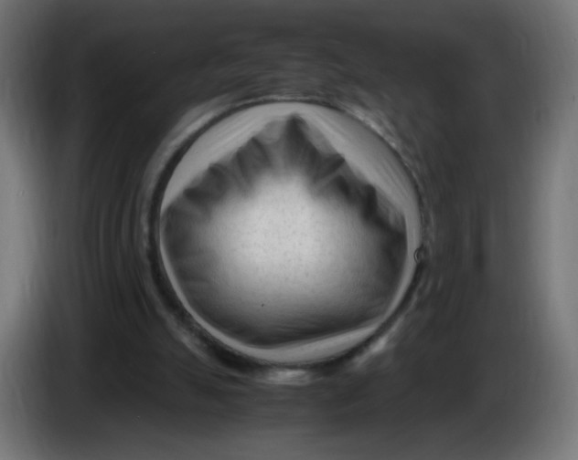 X0000086060055200704132027