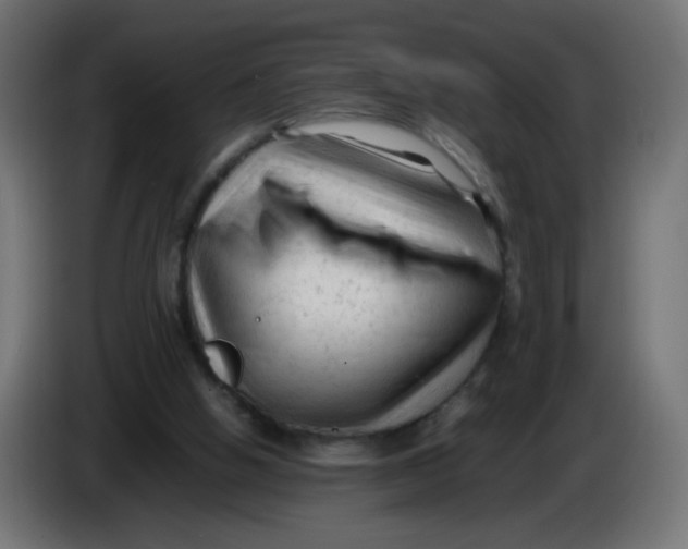 X0000086060058200704132027