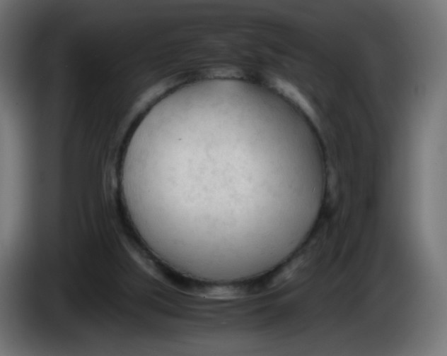 X0000086060059200704132027