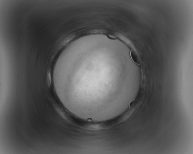 X0000086060061200704132027