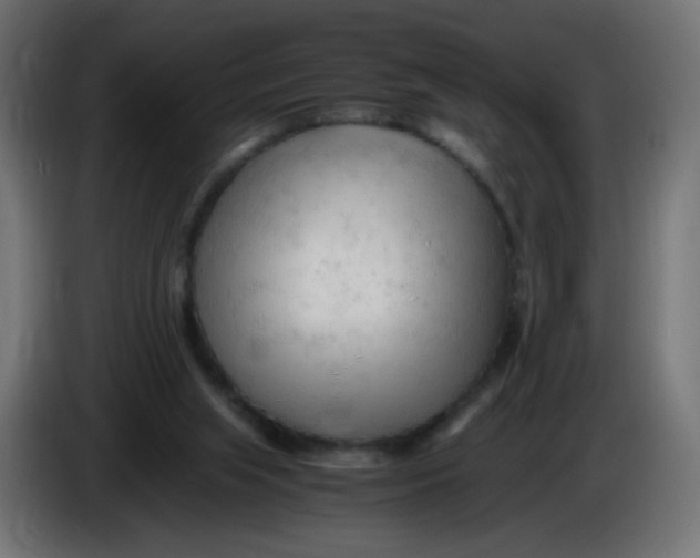 X0000086060063200704132027