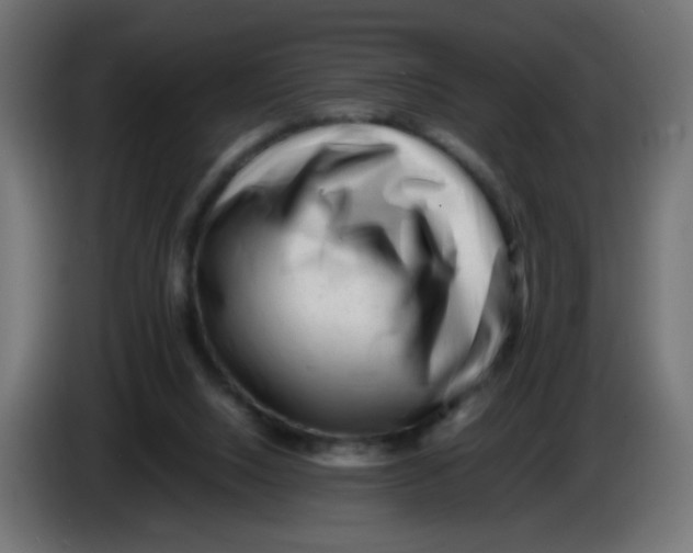 X0000086060064200704132027