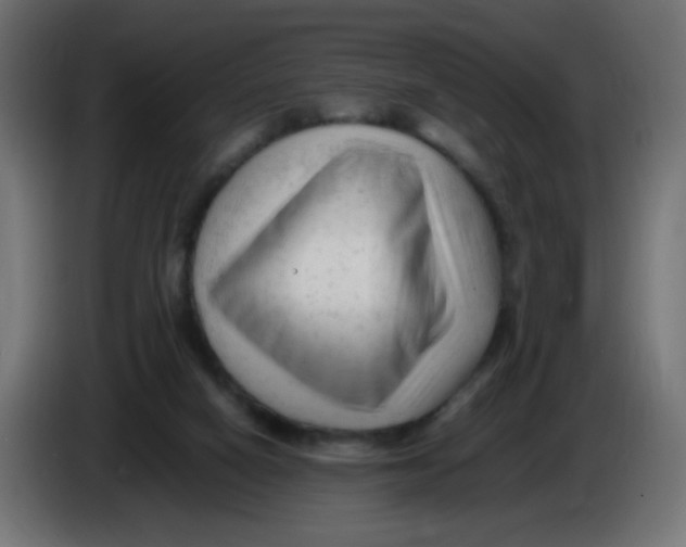 X0000086060066200704132027